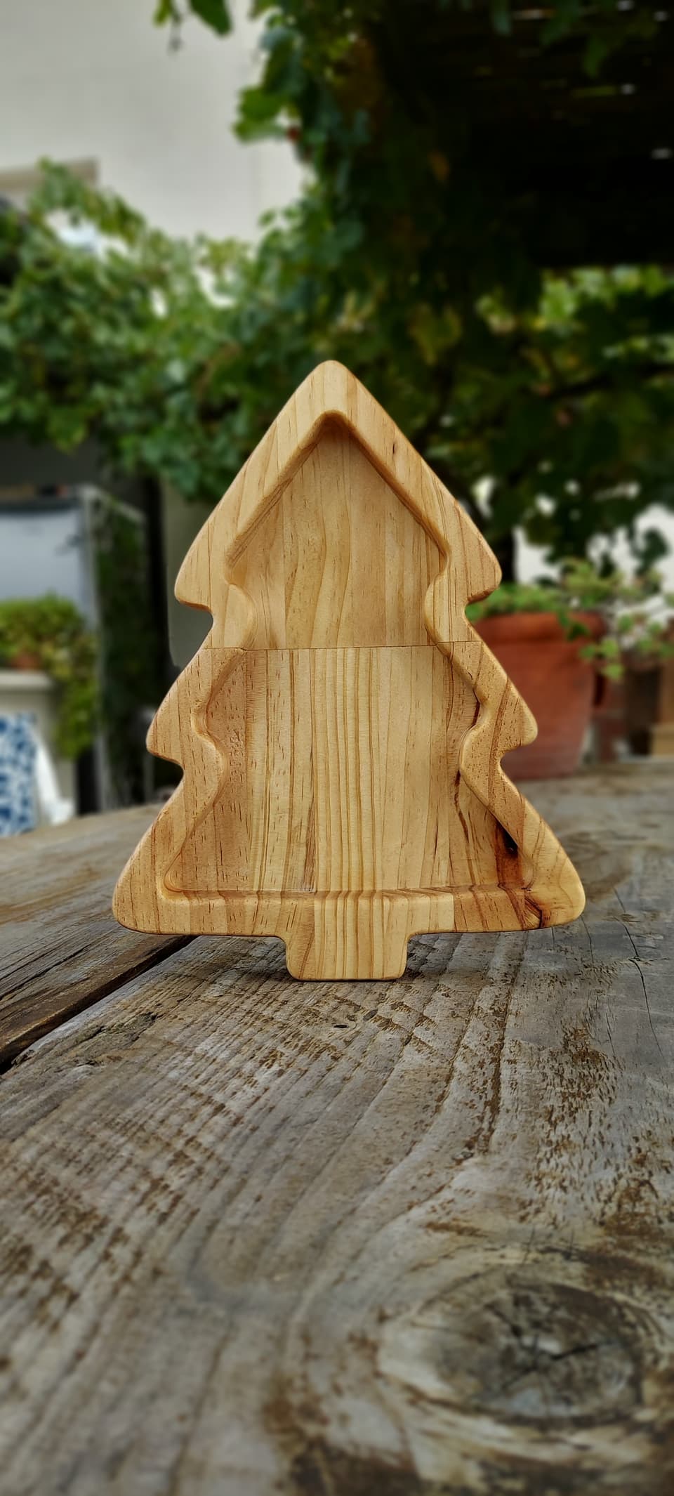 Veta de la bandeja árbol