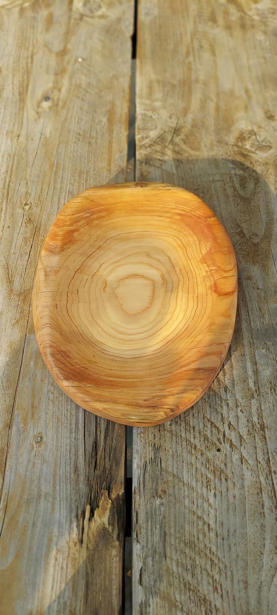 Anillos de la madera en la fuente