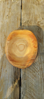 Anillos de la madera en la fuente