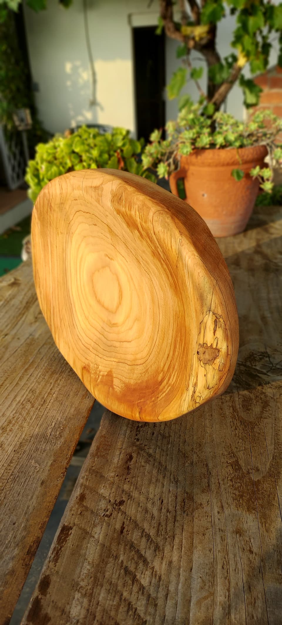 Fuente de madera natural, vista superior