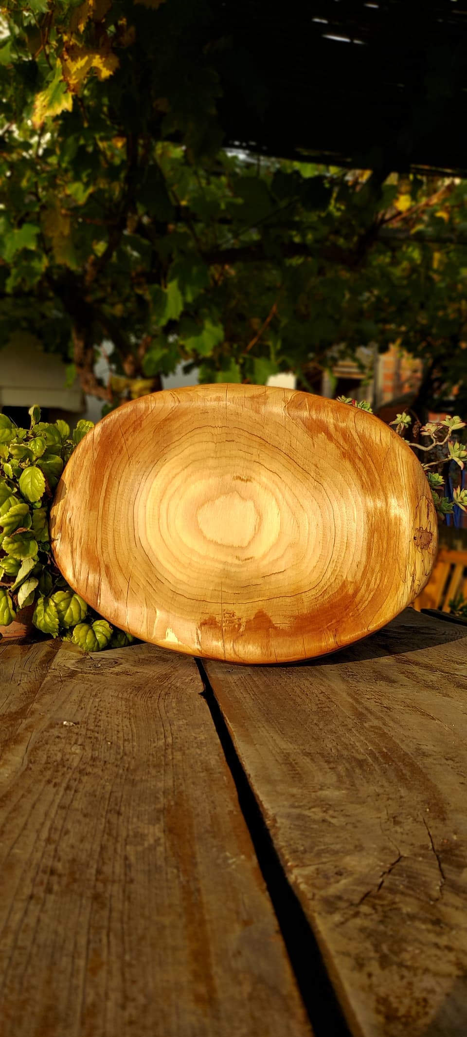 Fuente artesanal de madera natural